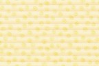 Roto Faltstore Beige mit Muschel-Dekor - lichtdurchlässig, Perlglanz-Beschichtet, Dekornummer D-145