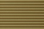 Roto Faltstore Gold lichtundurchlässig, Dekornummer F-162