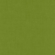 VELUX Sichtschutz-Rollo - Farbe: grün 4079